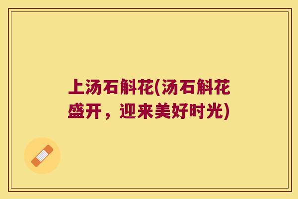 上汤石斛花(汤石斛花盛开，迎来美好时光)