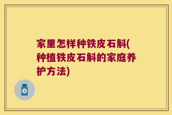 家里怎样种铁皮石斛(种植铁皮石斛的家庭养护方法)