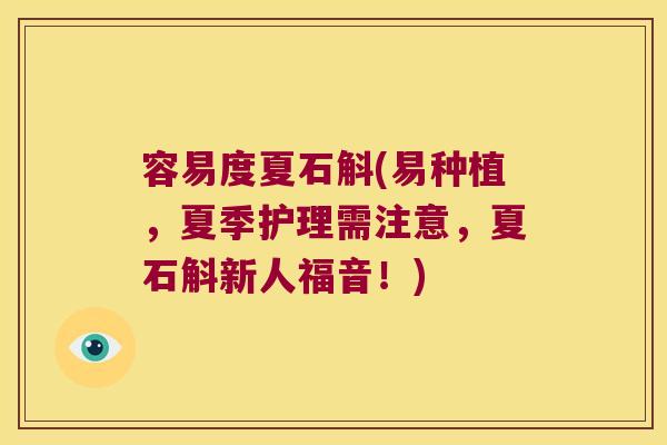 容易度夏石斛(易种植，夏季护理需注意，夏石斛新人福音！)