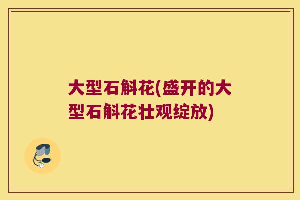 大型石斛花(盛开的大型石斛花壮观绽放)
