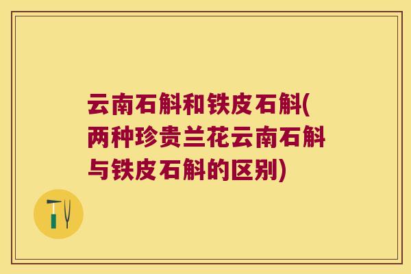 云南石斛和铁皮石斛(两种珍贵兰花云南石斛与铁皮石斛的区别)