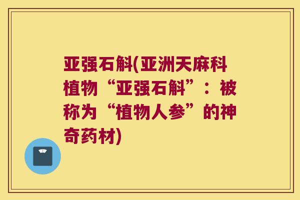亚强石斛(亚洲天麻科植物“亚强石斛”：被称为“植物人参”的神奇药材)