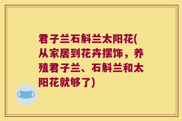 君子兰石斛兰太阳花(从家居到花卉摆饰，养殖君子兰、石斛兰和太阳花就够了)