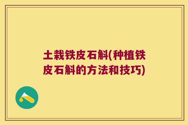 土栽铁皮石斛(种植铁皮石斛的方法和技巧)