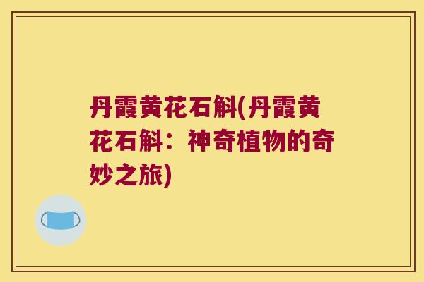 丹霞黄花石斛(丹霞黄花石斛：神奇植物的奇妙之旅)