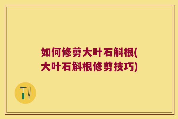 如何修剪大叶石斛根(大叶石斛根修剪技巧)