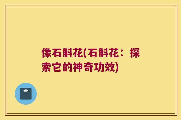 像石斛花(石斛花：探索它的神奇功效)