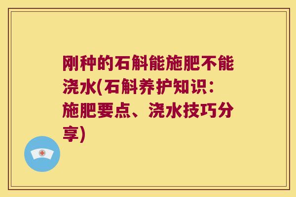 刚种的石斛能施肥不能浇水(石斛养护知识：施肥要点、浇水技巧分享)