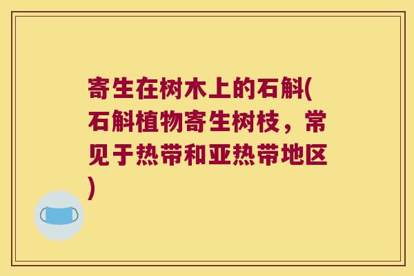 寄生在树木上的石斛(石斛植物寄生树枝,常见于热带和亚热带地区) 寄生在树木上的石斛(石斛植物寄生树枝,常见于热带和亚热带地区)
