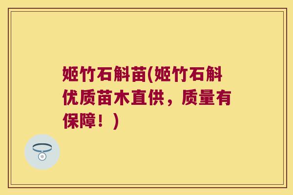 姬竹石斛苗(姬竹石斛优质苗木直供，质量有保障！)