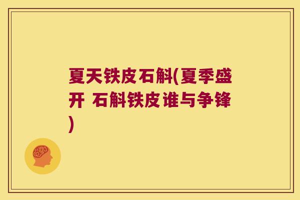 夏天铁皮石斛(夏季盛开 石斛铁皮谁与争锋)