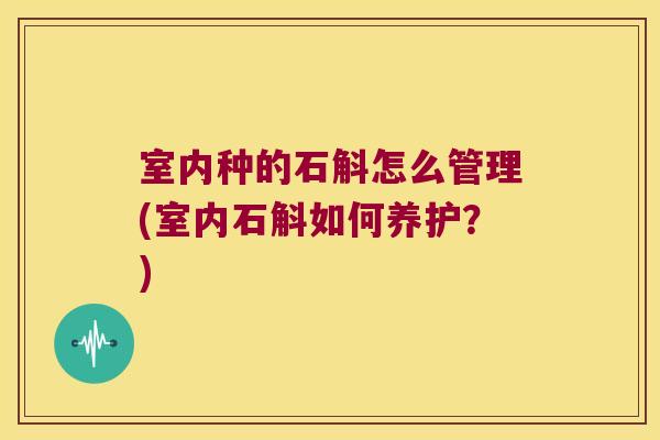 室内种的石斛怎么管理(室内石斛如何养护？)