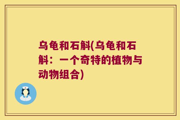 乌龟和石斛(乌龟和石斛：一个奇特的植物与动物组合)
