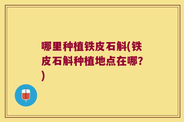 哪里种植铁皮石斛(铁皮石斛种植地点在哪？)