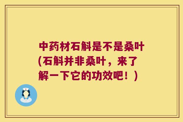 中药材石斛是不是桑叶(石斛并非桑叶，来了解一下它的功效吧！)