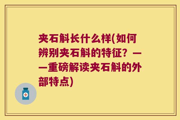 夹石斛长什么样(如何辨别夹石斛的特征?——重磅解读夹石斛的外部特点) 夹石斛长什么样(如何辨别夹石斛的特征?——重磅解读夹石斛的外部特点)