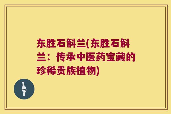 东胜石斛兰(东胜石斛兰：传承中医药宝藏的珍稀贵族植物)