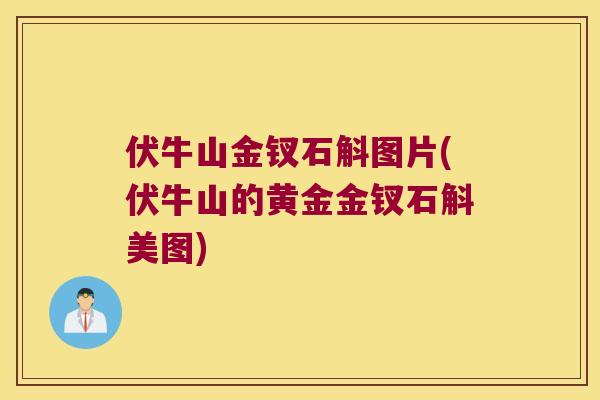 伏牛山金钗石斛图片(伏牛山的黄金金钗石斛美图)