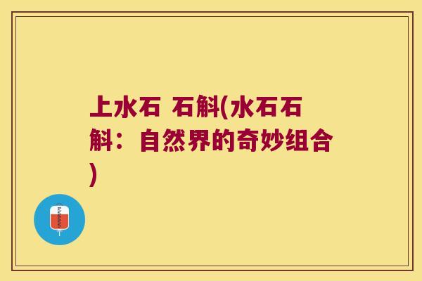 上水石 石斛(水石石斛：自然界的奇妙组合)