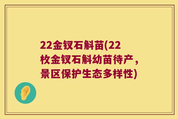 22金钗石斛苗(22枚金钗石斛幼苗待产，景区保护生态多样性)