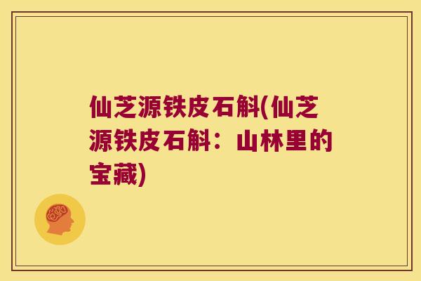 仙芝源铁皮石斛(仙芝源铁皮石斛：山林里的宝藏)