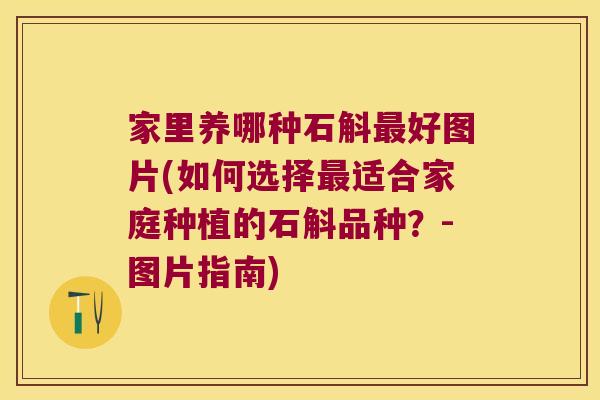 家里养哪种石斛最好图片(如何选择最适合家庭种植的石斛品种？-图片指南)