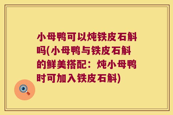 小母鸭可以炖铁皮石斛吗(小母鸭与铁皮石斛的鲜美搭配：炖小母鸭时可加入铁皮石斛)