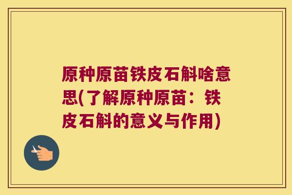 原种原苗铁皮石斛啥意思(了解原种原苗：铁皮石斛的意义与作用)