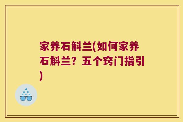 家养石斛兰(如何家养石斛兰？五个窍门指引)
