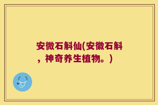 安微石斛仙(安徽石斛，神奇养生植物。)