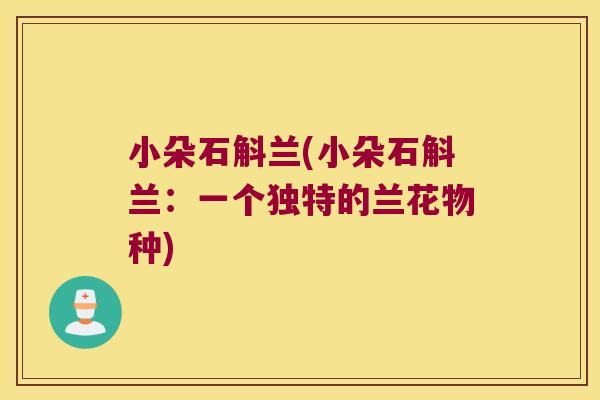 小朵石斛兰(小朵石斛兰：一个独特的兰花物种)
