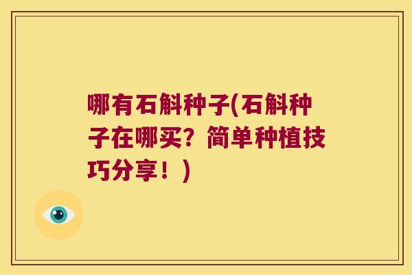 哪有石斛种子(石斛种子在哪买？简单种植技巧分享！)