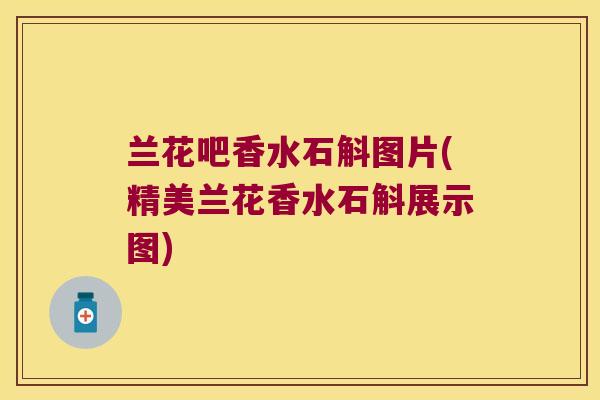 兰花吧香水石斛图片(精美兰花香水石斛展示图)