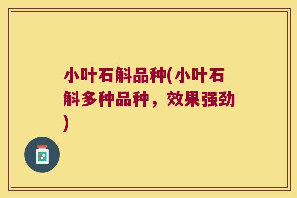 小叶石斛品种(小叶石斛多种品种,效果强劲) 小叶石斛品种(小叶石斛多种品种,效果强劲)