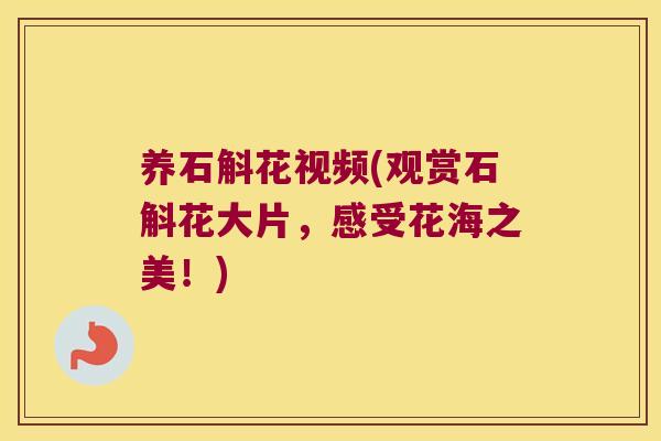 养石斛花视频(观赏石斛花大片，感受花海之美！)