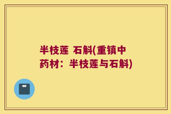 半枝莲 石斛(重镇中药材：半枝莲与石斛)