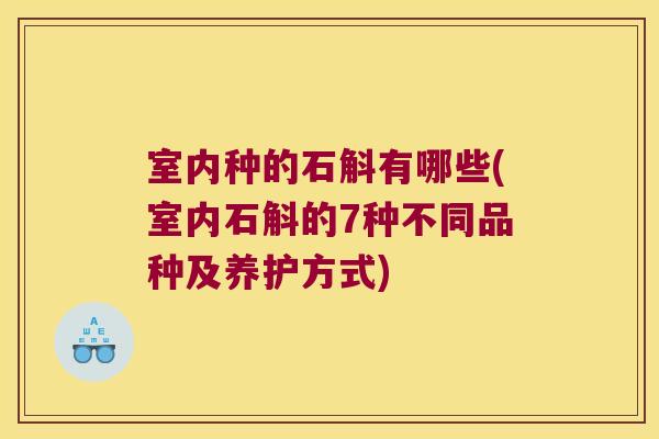 室内种的石斛有哪些(室内石斛的7种不同品种及养护方式)