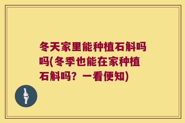 冬天家里能种植石斛吗吗(冬季也能在家种植石斛吗？一看便知)