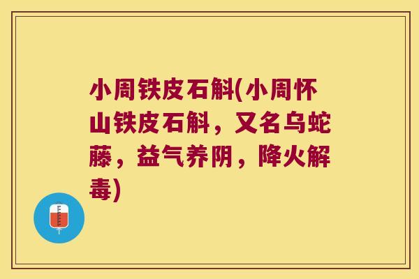 小周铁皮石斛(小周怀山铁皮石斛，又名乌蛇藤，益气养阴，降火解毒)