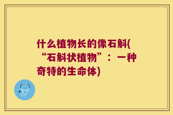 什么植物长的像石斛(“石斛状植物”：一种奇特的生命体)