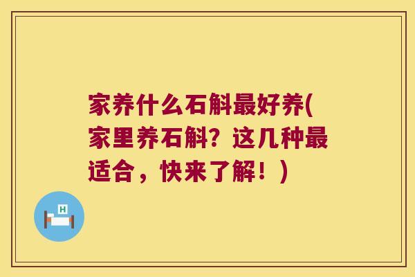 家养什么石斛最好养(家里养石斛？这几种最适合，快来了解！)