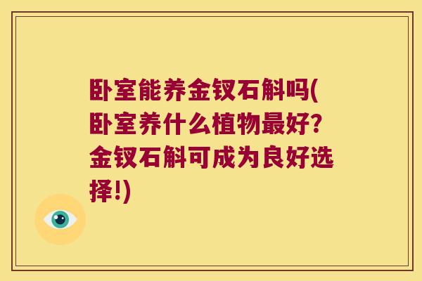 卧室能养金钗石斛吗(卧室养什么植物好？金钗石斛可成为良好选择!)