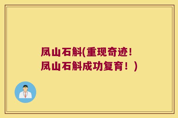 凤山石斛(重现奇迹！凤山石斛成功复育！)