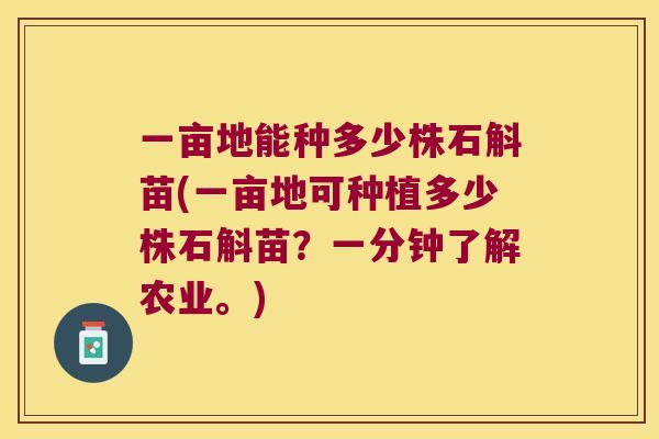 一亩地能种多少株石斛苗(一亩地可种植多少株石斛苗？一分钟了解农业。)