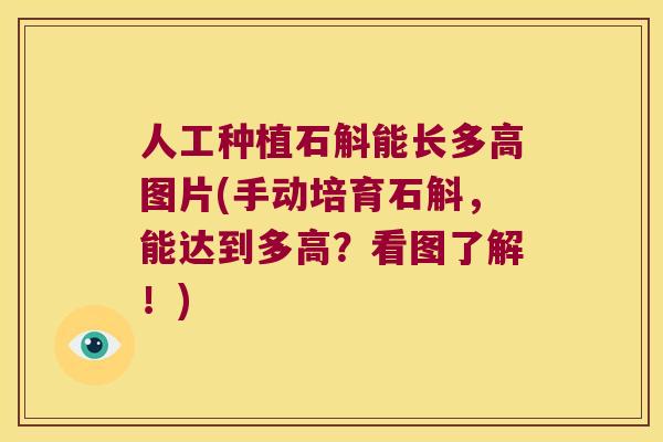 人工种植石斛能长多高图片(手动培育石斛，能达到多高？看图了解！)