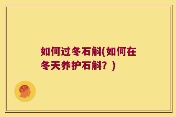 如何过冬石斛(如何在冬天养护石斛？)