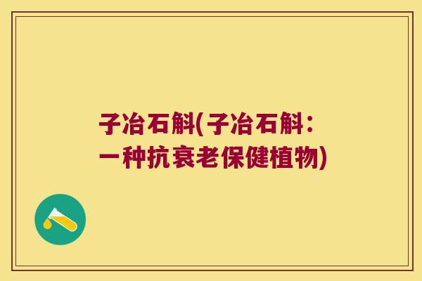 子冶石斛(子冶石斛：一种抗保健植物)