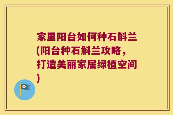 家里阳台如何种石斛兰(阳台种石斛兰攻略，打造美丽家居绿植空间)