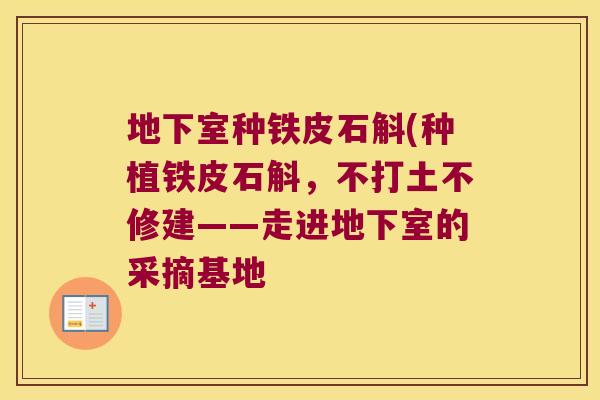 地下室种铁皮石斛(种植铁皮石斛，不打土不修建——走进地下室的采摘基地