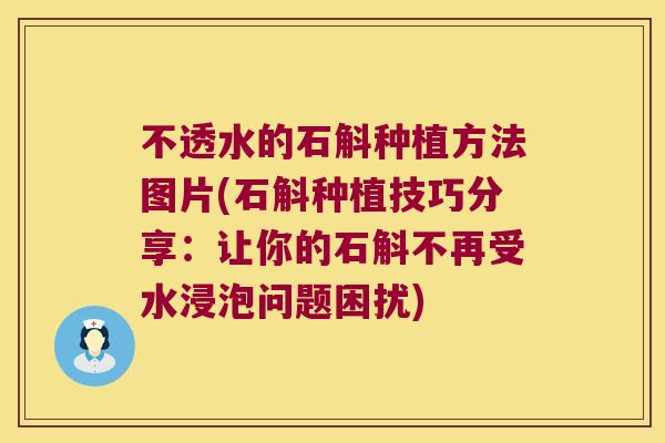 不透水的石斛种植方法图片(石斛种植技巧分享：让你的石斛不再受水浸泡问题困扰)